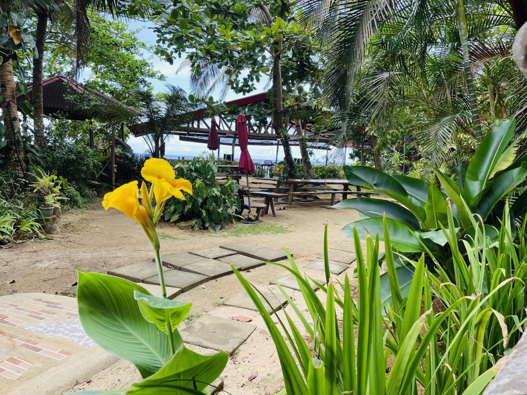 White Beach Front And Cottages Buruanga Luaran gambar